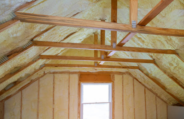 Professional Insulation Contractor in Lincoln Park, MI