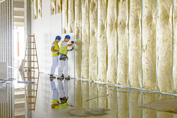 Best Insulation Removal  in Lincoln Park, MI